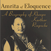 Amrita of Eloquence: A Biography of Khenpo Karthar Rinpoche