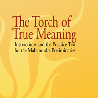 The Torch of True Meaning