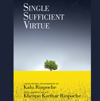 Single Sufficient Virtue